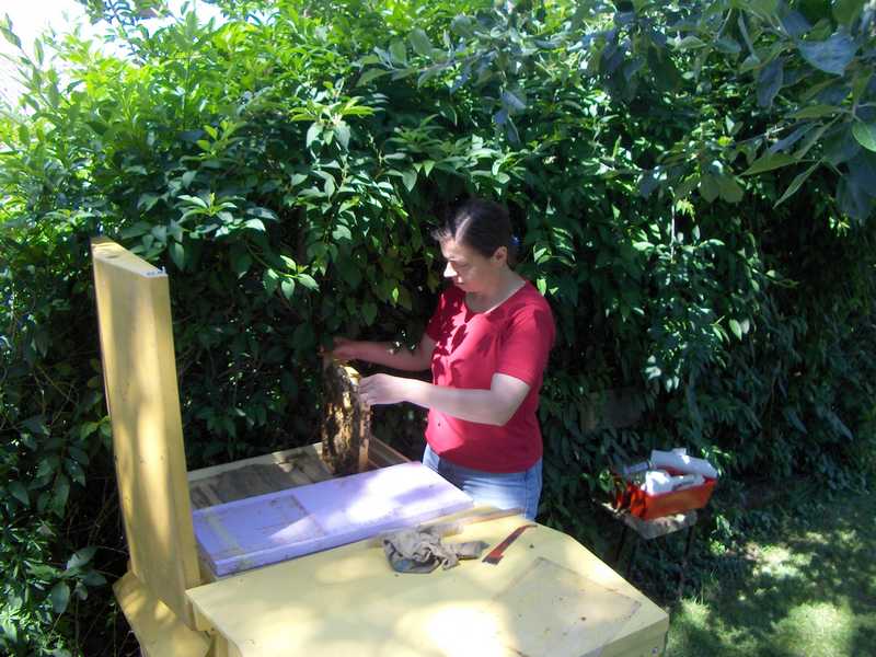Am Bienenstand Image